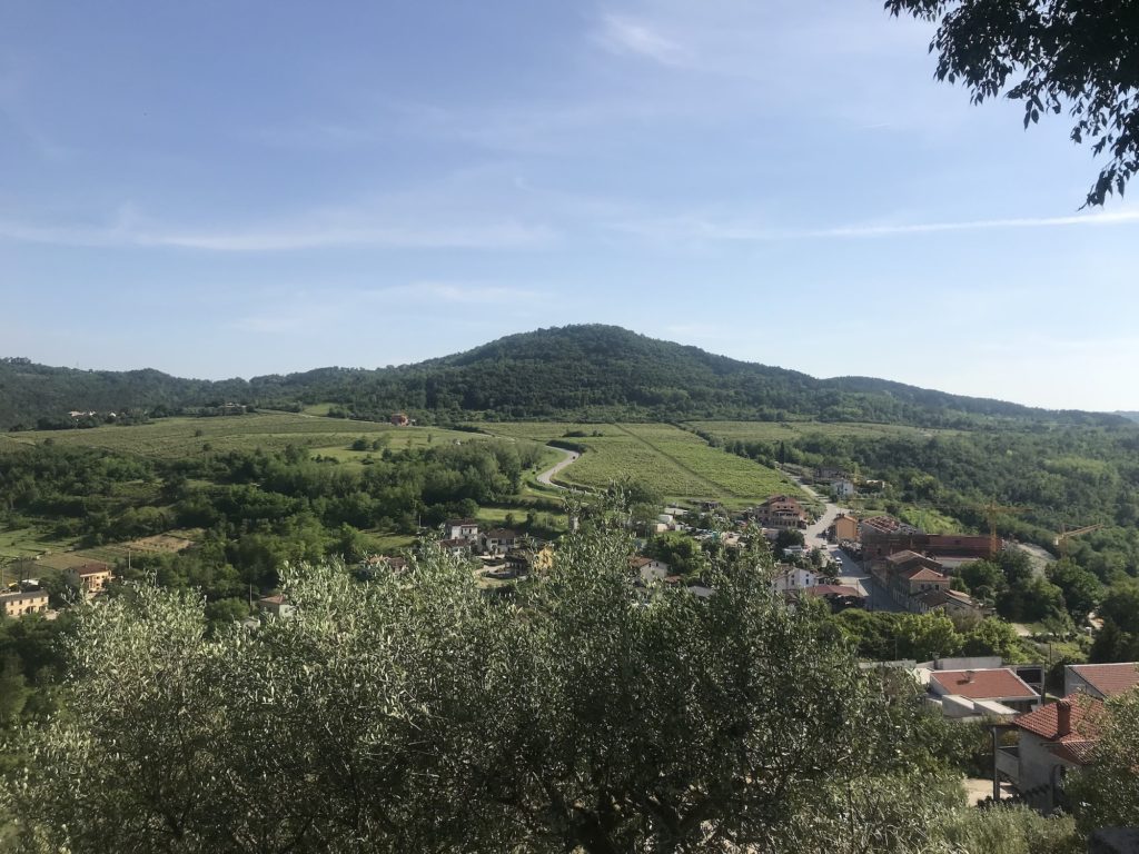 View of river Mirna valley from Motovun