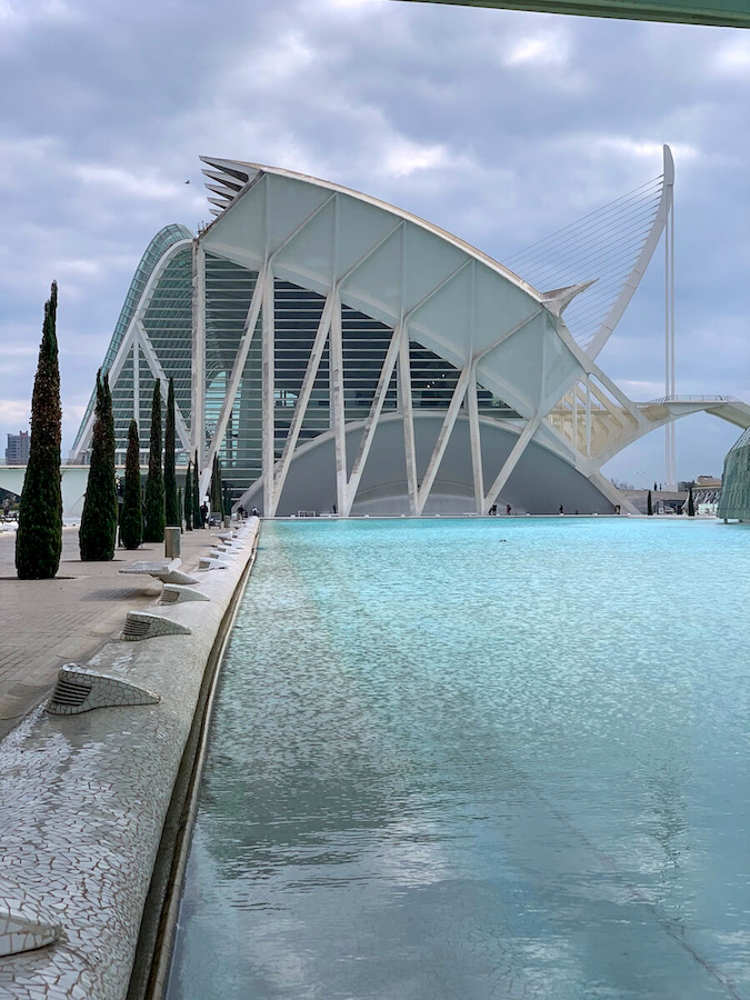 Pool of the Ciudad de las Artes y las Ciencias in Valencia